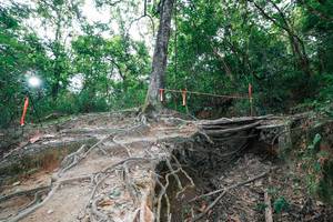 BIB: 
                            <button type="button" onclick="openModal(27722581)" class="btn btn-primary btn-sm float-right btn-popup" data-toggle="modal" data-target=".modal-high-quality">
                        <i class="fas fa-shopping-cart"></i> Add to Cart
                    </button>
                                            <button type="button" onclick="isThisMe(27722581, true)" class="btn btn-success btn-sm float-right btn-popup btn-isme hidden" data-toggle="tooltip" data-placement="bottom" title="นี่คือรูปของคุณใช่ไหม คลิกที่นี่เพื่อเอาเข้าอัลบั้ม">
                        <i class="fas fa-plus"></i> Add to album
                    </button>
                    <button type="button" onclick="isThisMe(27722581, false)" class="btn btn-warning btn-sm float-right btn-popup btn-isnotme hidden">
                        <i class="fas fa-ban"></i> Remove from album
                    </button>